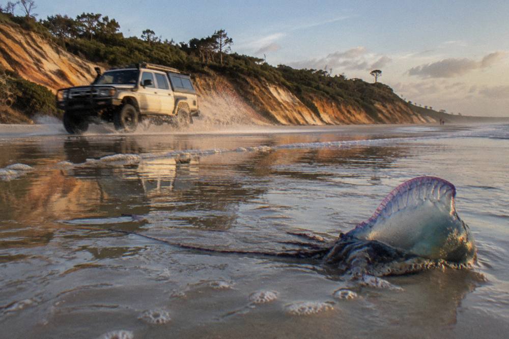 A four wheel drive tour vehicle travelling along a firm sand beach with the ocean on one side